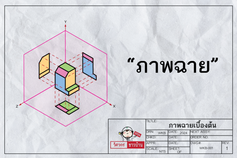 ภาพฉายเบื้องต้น